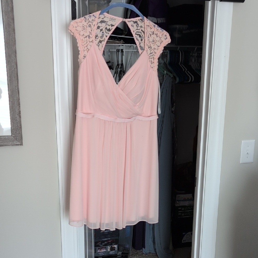 David's Bridal Pink Lace Wedding Dress